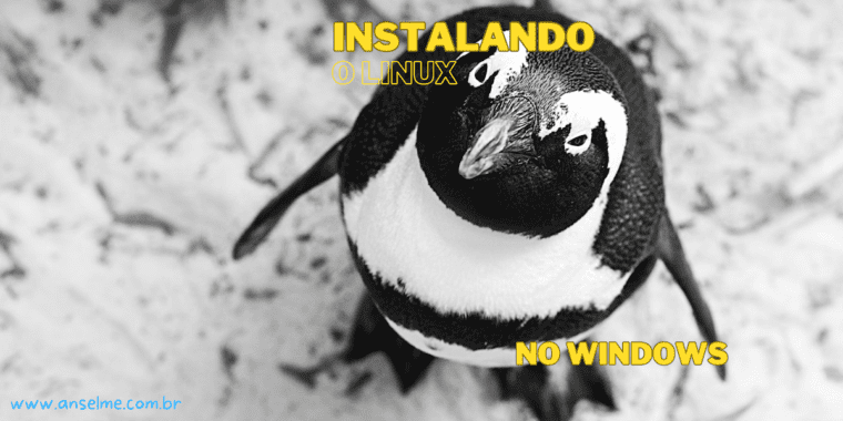 Instalando o Linux no Windows